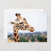 HUNGRY GIRAFFE BRIEFKAART (Voorkant / Achterkant)