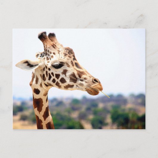 HUNGRY GIRAFFE BRIEFKAART (Voorkant)