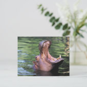 Hungry Hippo Briefkaart (Staand voorkant)