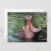 Hungry Hippo Briefkaart (Voorkant / Achterkant)