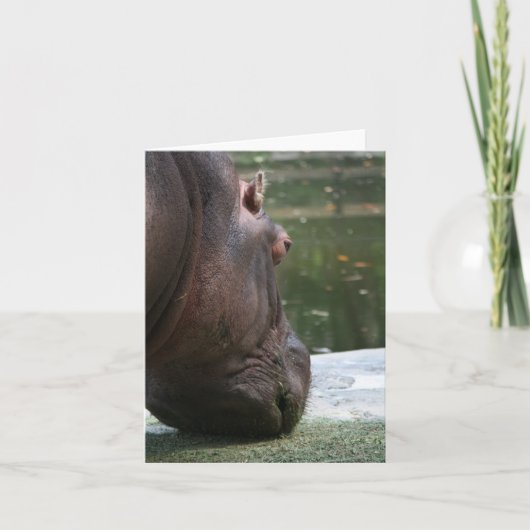 Hungry Hippo Notecard Kaart (Voorkant)