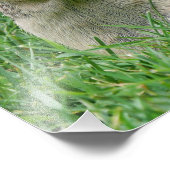 Hungry Hungry Chipmunk Foto Afdruk (Hoek)