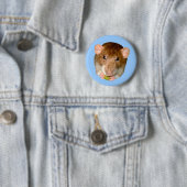 Hungry Rat Button (In situ)