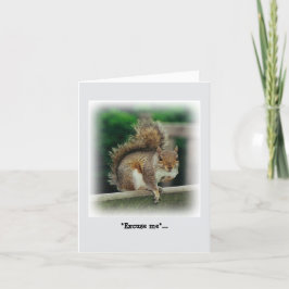 Hungry Squirrel op zoek naar een gratis handout Kaart