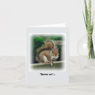 Hungry Squirrel op zoek naar een gratis handout Kaart