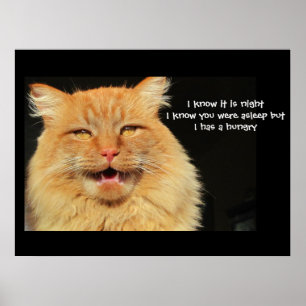 Hungry Talking Cat haiku Poster