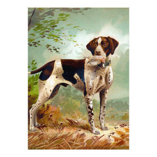 Hunter dog met vogel in de mond foto afdruk