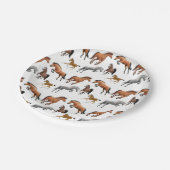 Hunter Jumper Horses met Bord van gestreken fijn p (Gekanteld)