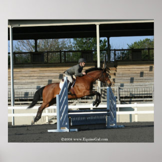 Hunter Jumper Poster 2