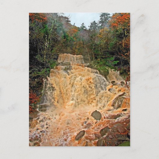 Hunter Mountain Waterfall Briefkaart (Voorkant)