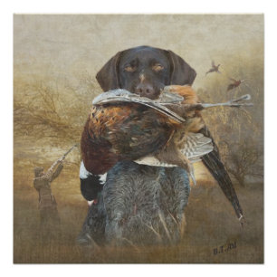 Hunteseizoen, Duitse Wirehaire Pointer Tapest Perfect Poster