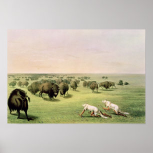 Hunting Buffalo Camouflaged Poster