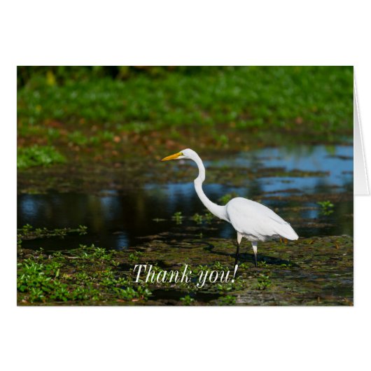 Hunting Egret Hartelijk dank (Voorkant Horizontaal)