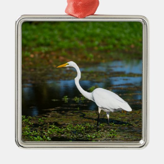 Hunting Egret Metalen Ornament (Voorkant)
