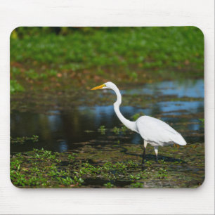 Hunting Egret Muismat