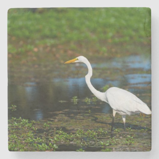 Hunting Egret Stenen Onderzetter (Voorkant)