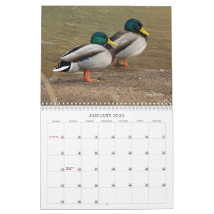 Hunting Mallard Ducks Calendar Kalender