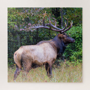 Hunting Season - Bull Elk - 20x20 inch Legpuzzel