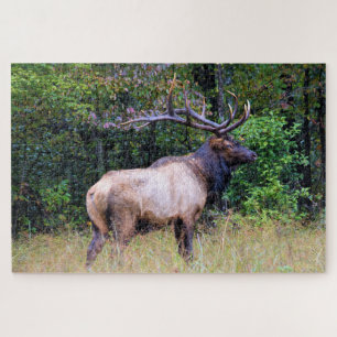Hunting Season - Bull Elk - 20x30 inch Legpuzzel