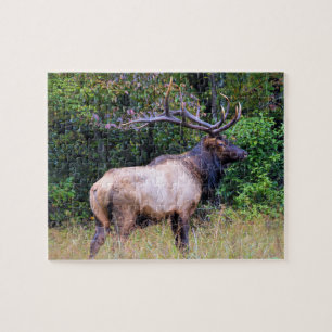 Hunting Season - Bull Elk - 8x10 Legpuzzel