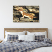 Hunting Weasel Canvas Afdruk (Insitu (Slaapkamer))