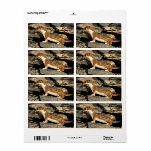 Hunting Weasel Etiket (Full Sheet)