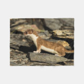 Hunting Weasel Fleece Deken (Voorkant (Horizontaal))