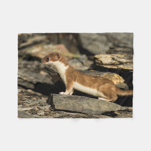 Hunting Weasel Fleece Deken (Voorkant (Horizontaal))