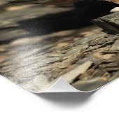 Hunting Weasel Foto Afdruk (Hoek)