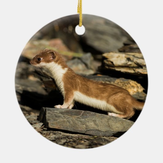 Hunting Weasel Keramisch Ornament (Achterkant)