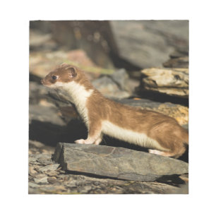 Hunting Weasel Notitieblok