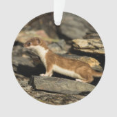 Hunting Weasel Ornament (voorkant)