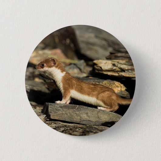 Hunting Weasel Ronde Button 5,7 Cm (Voorkant)