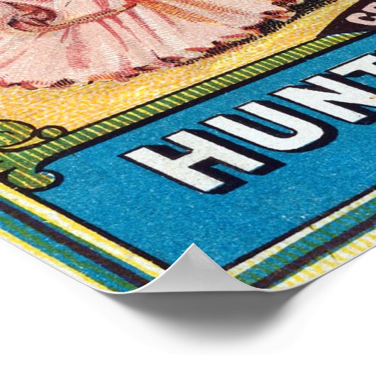 Hunt's Remedy Company Advertisement Poster (Hoek)