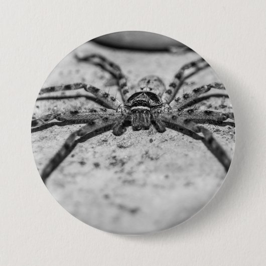 Huntsman Spider Ronde Button 7,6 Cm (Voorkant)