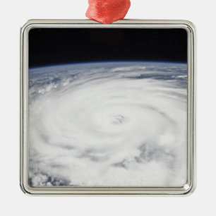 Huricane Igor Metalen Ornament