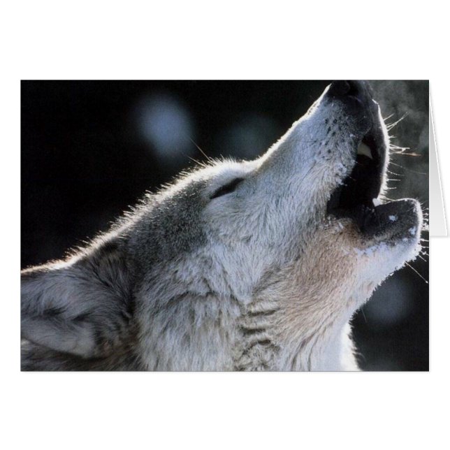 hurler (Devant horizontal)