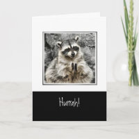 Hurrah. Cute Racoon Clapping Funny Animal Art