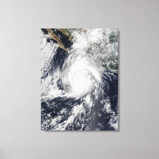 Hurricane Kenna Canvas Afdruk (Voorkant)