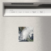 Hurricane Kenna Magneet (Insitu (Vaatwasser))