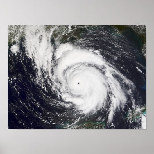 Hurricane Lili Poster (Voorkant)