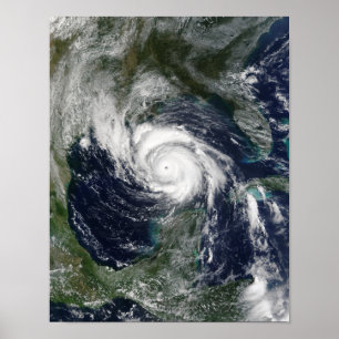 Hurricane Lili Poster