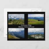Hurricane Ridge Briefkaart (Voorkant / Achterkant)