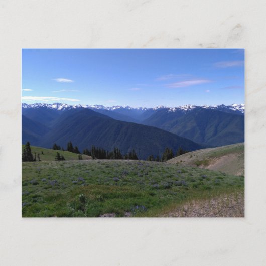 Hurricane Ridge - briefkaart van het Nationaal Par (Voorkant)