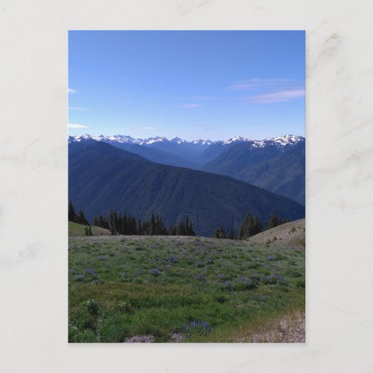 Hurricane Ridge - Briefkaart van het Nationaal Par (Voorkant)