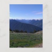 Hurricane Ridge - Carte postale du parc national o (Devant)