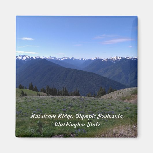 Hurricane Ridge - Olympische Natal Park Magnet Magneet (Voorkant)