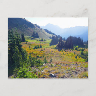 Hurricane Ridge Trail Briefkaart