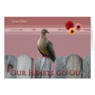 Hurricane Sandy Love Dove