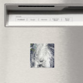 Hurricane Tomas Magneet (Insitu (Vaatwasser))